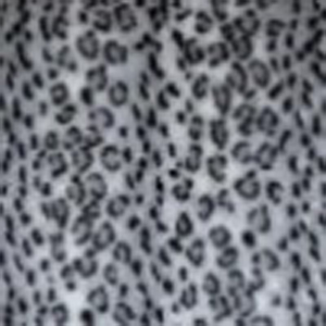 Серый леопард